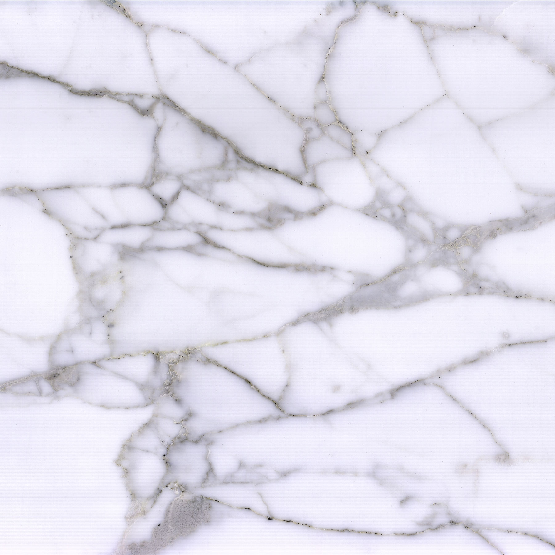 Calacatta Vagli Marble