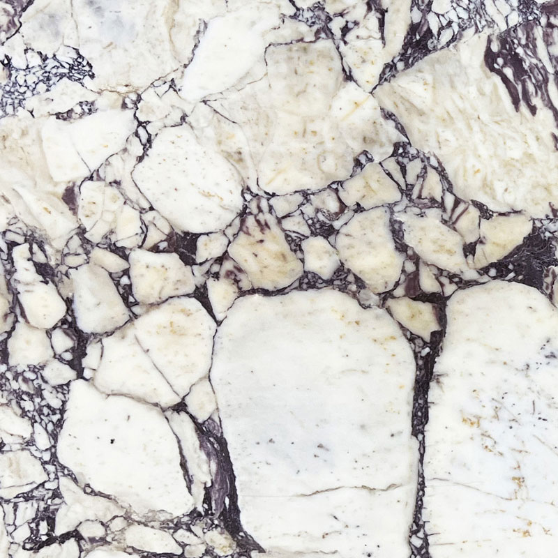 Calacatta Viola Marble