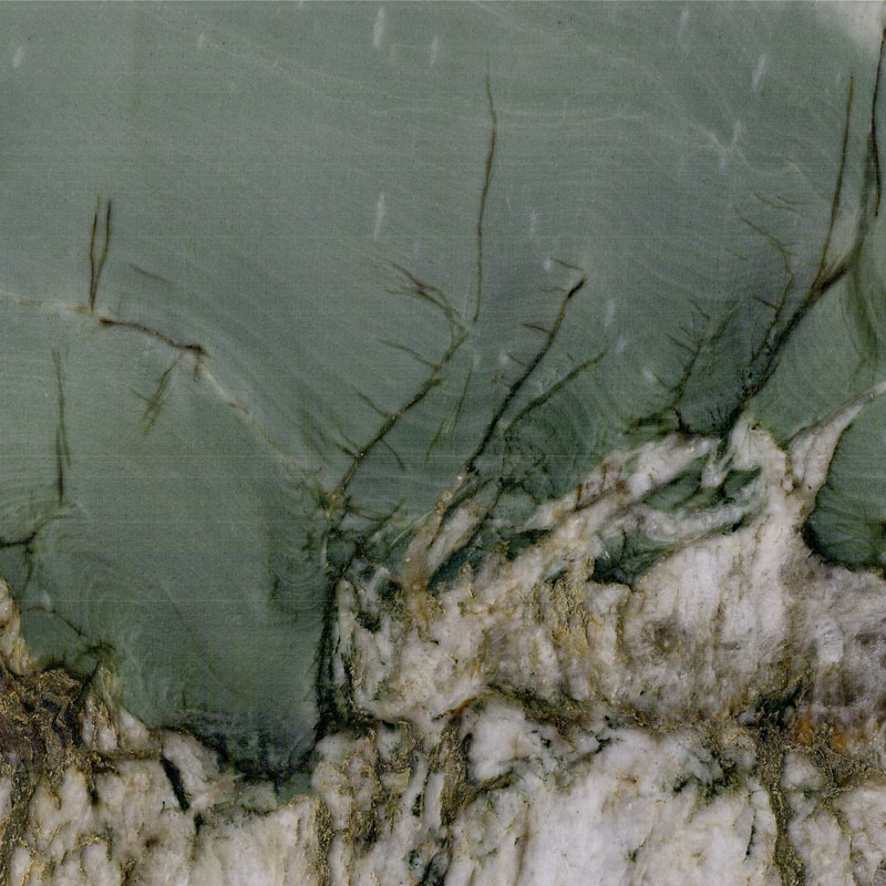 Farfalla dell'Amazzonia